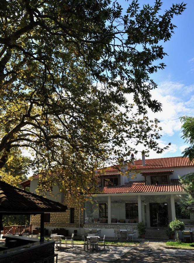 Κonitsa Gefyri Hotel Konitsa Exterior foto